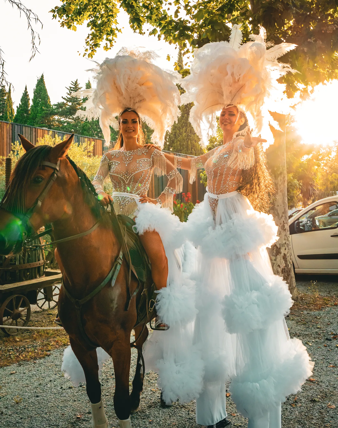 Spectacle Equestre