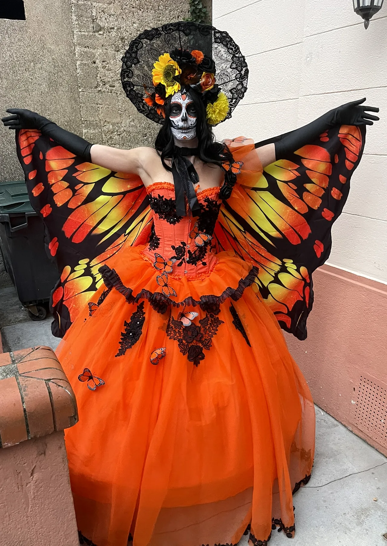 Papillon